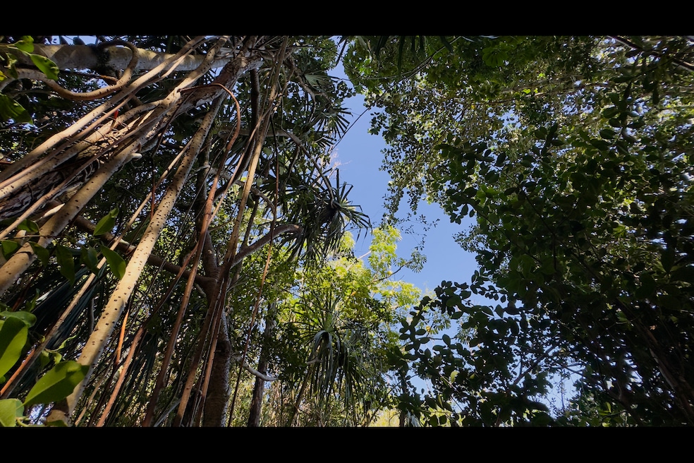 0 Kilika St unit 718096, Keaau, HI 96749 - photo 1