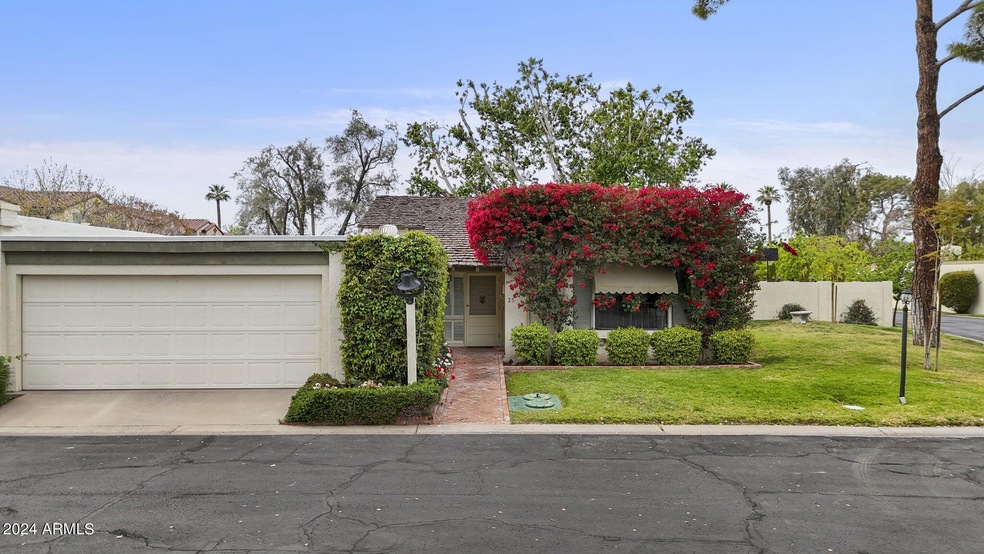 37-web-or-mls-23-e-echo-ln