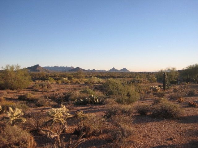 South View