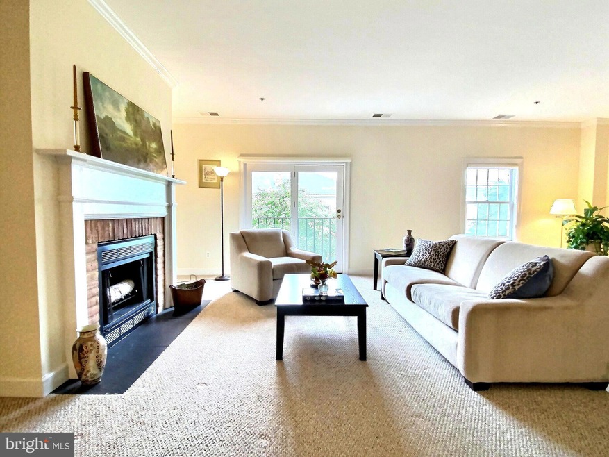 204 Brightwood Club Dr, Lutherville Timonium, MD 21093 - photo 1