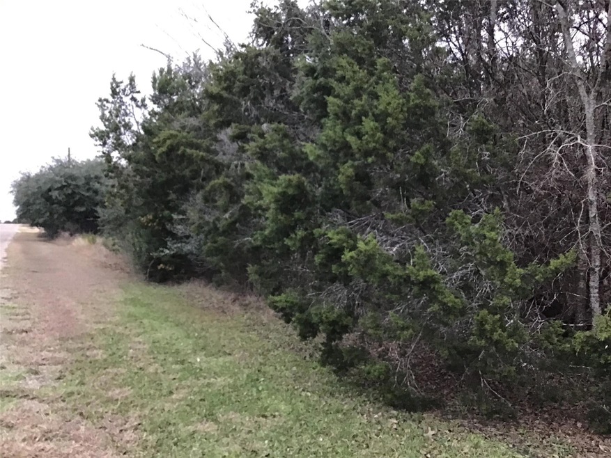 33034 Woodcrest Dr, Whitney, TX 76692 - photo 1