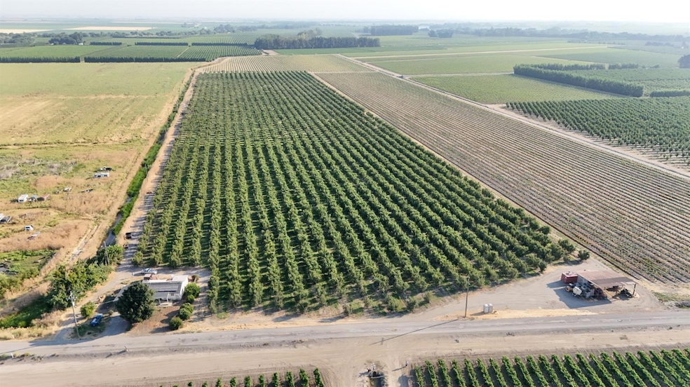 787 W Sutter Island Cross Rd, Courtland, CA 95615 - photo 1