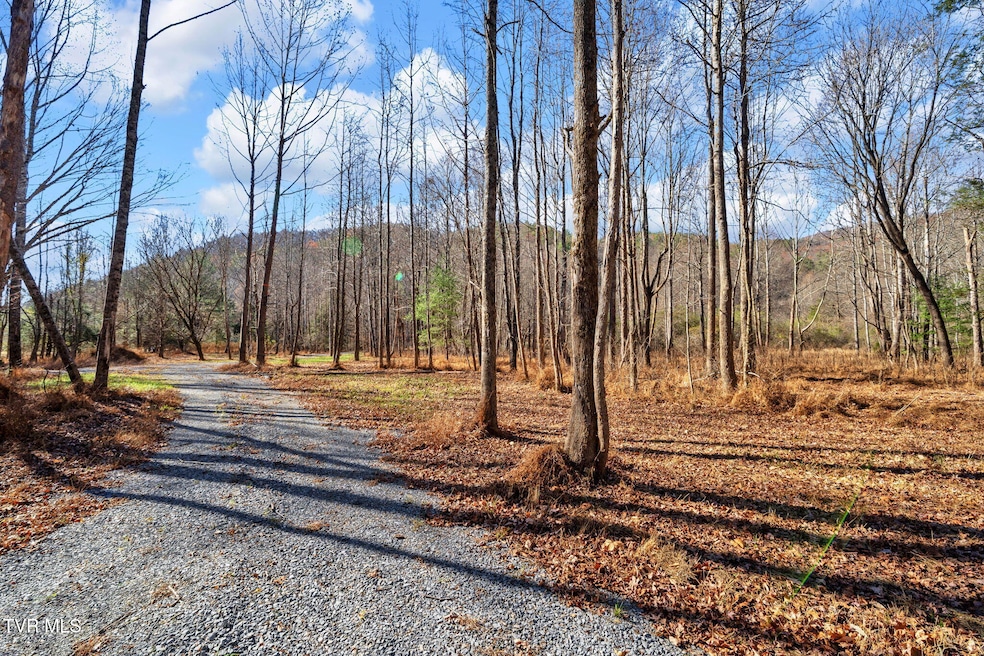 Tbd McInturff Springs Rd, Erwin, TN 37650 - photo 1