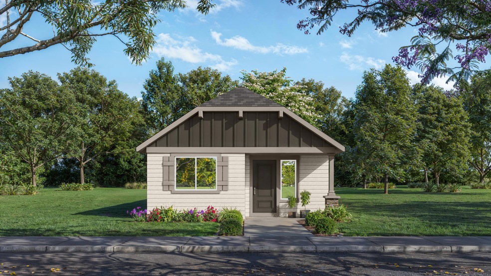 Front Facing Rendering