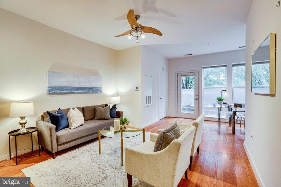 8045 Newell St unit 113, Silver Spring, MD 20910 - photo 1