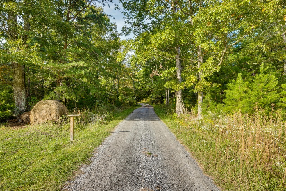 Tbd Cutshaw Ln, Greeneville, TN 37743 - photo 1