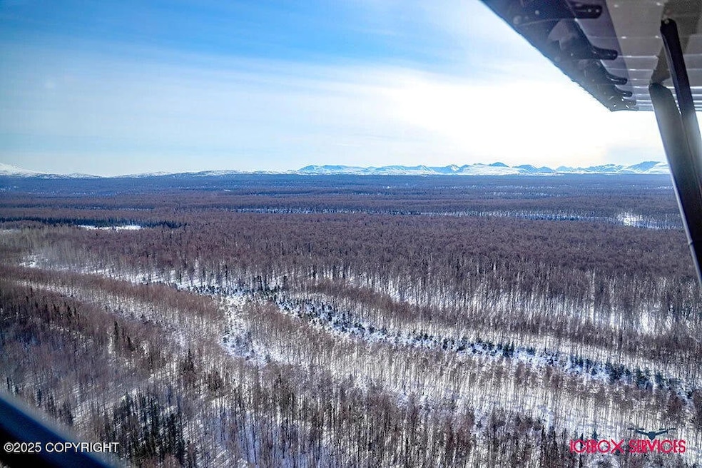 20801 E Baruch Loop, Talkeetna, AK 99676 - photo 1