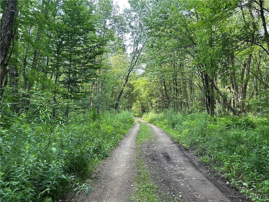 0 Kimball Camp Rd unit S1622094, Orwell, NY 13426 - photo 1