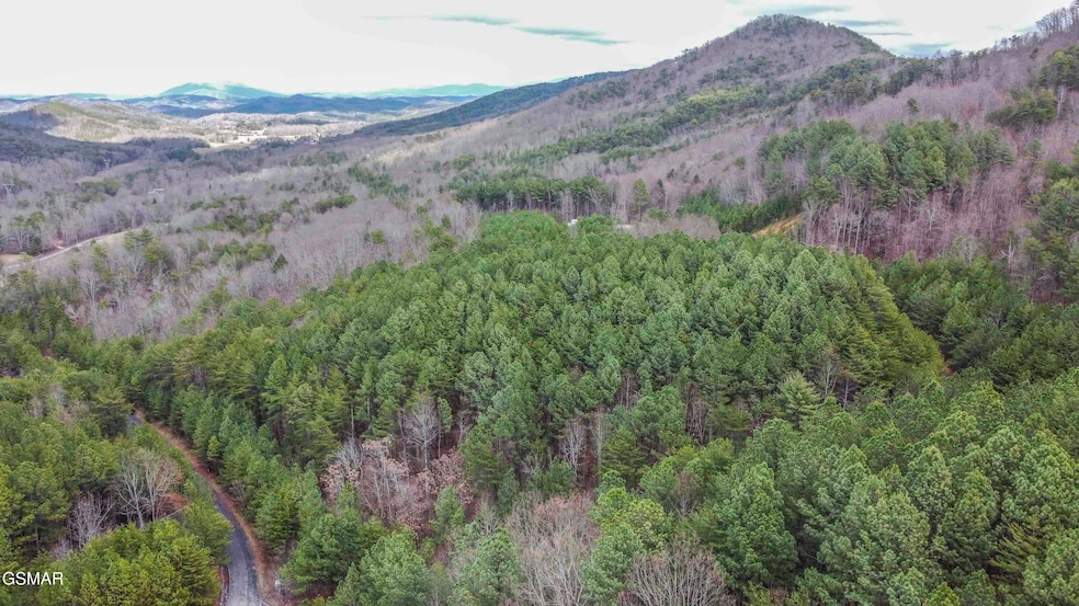 Harlan Mtn