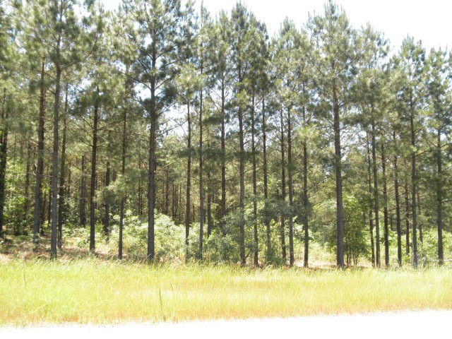 LOT 189 Stillwater, Lincolnton, GA 30817 - photo 1