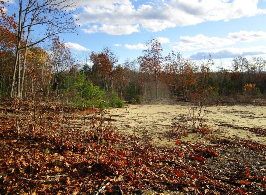 Strickland Ferry Wayne 010 (Custom) (2)