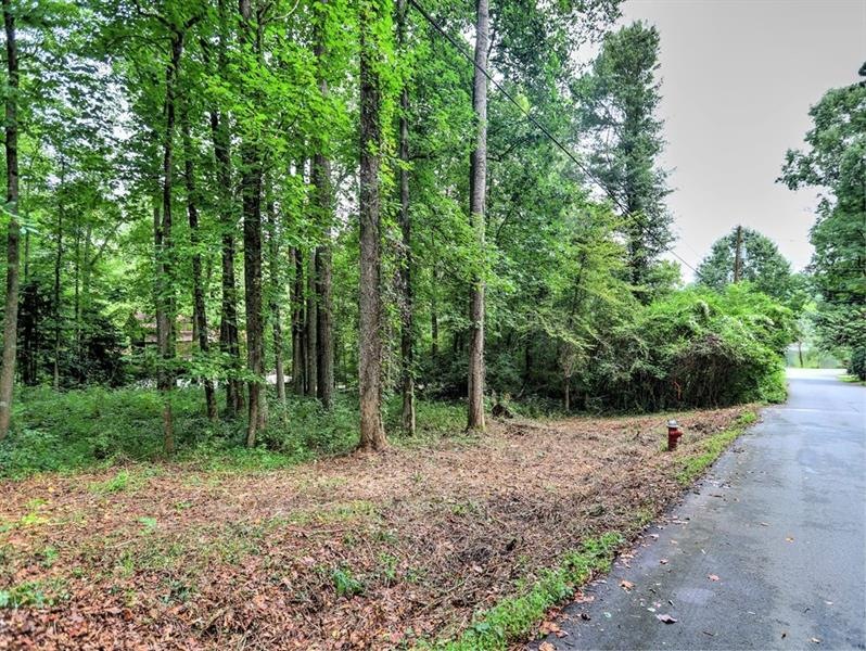 Enjoy living in Mountain Park. Lot view #1.