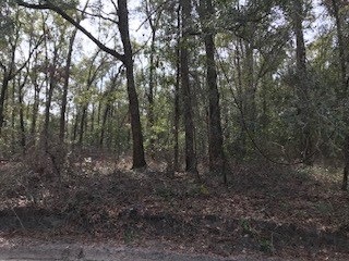 LOT 18 282nd Terrace, Branford, FL 32008 - photo 1