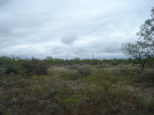 000 White Tail Ln, San Angelo, TX 76904 - photo 1