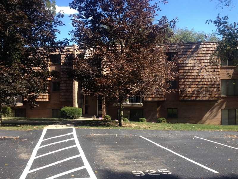 Exterior Front. Welcome to 925 Forest Green Drive
