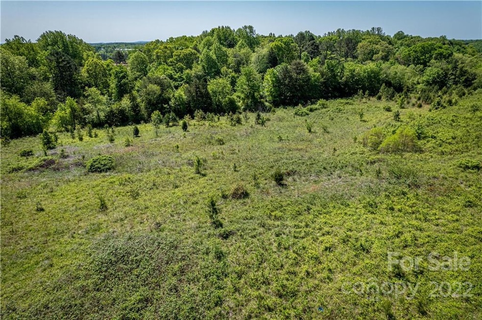 7137 Reeps Grove Church Rd, Vale, NC 28168 - photo 1