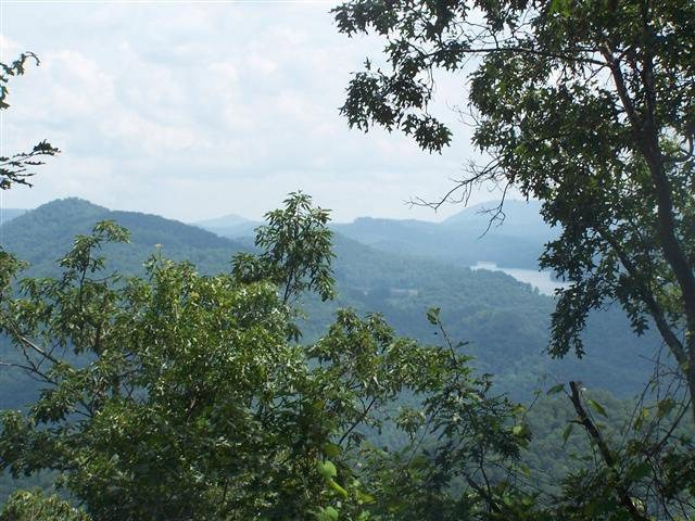 Main View