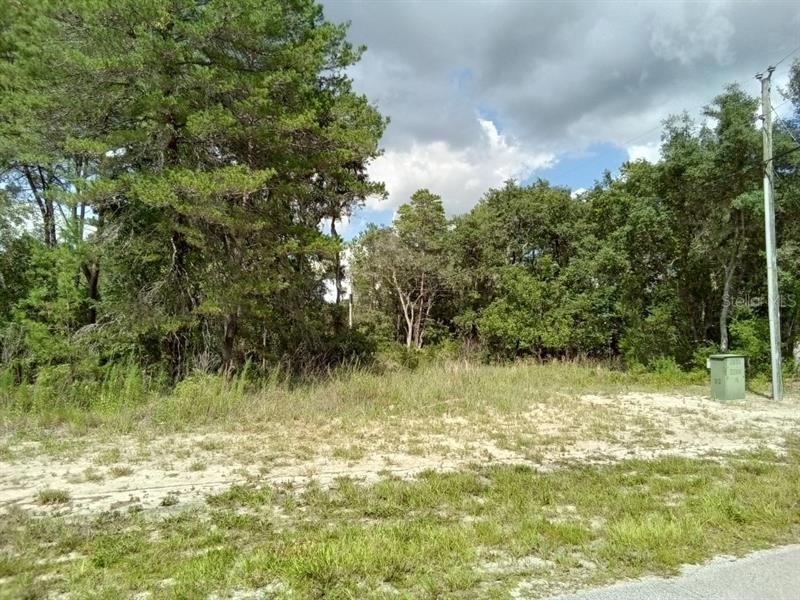 0 SW 173rd Place Rd unit 6 O6052932, Ocala, FL 34473 - photo 1