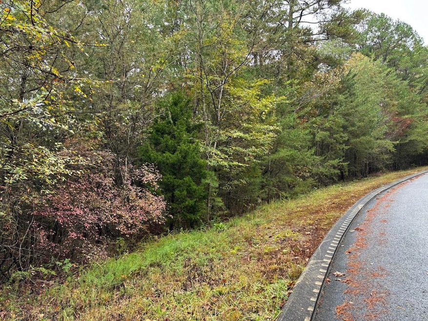 3 Countryside Dr, Dunlap, TN 37327 - photo 1