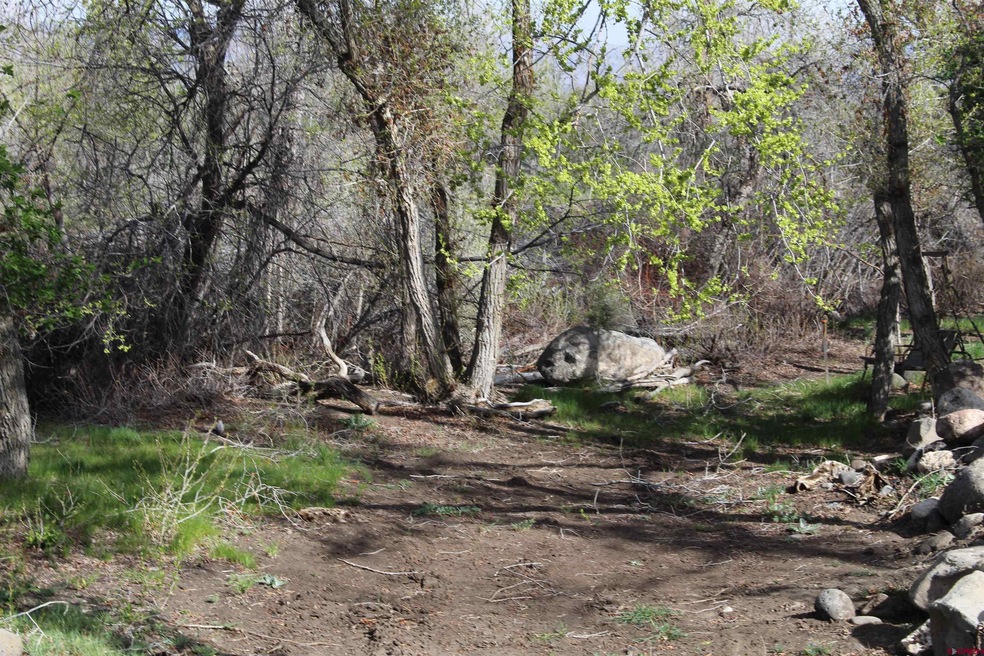 460 NE 4th St, Cedaredge, CO 81413 - photo 1