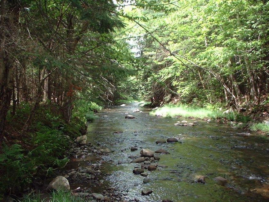 0 Breezy Hill Rd unit 4864922, Lisbon, NH 03585 - photo 1