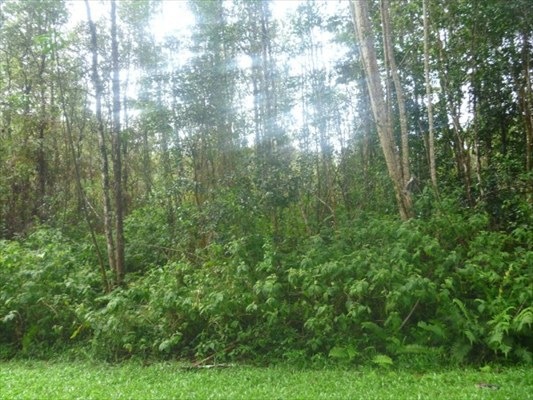 $4,900 Lot in Nanawale Estates