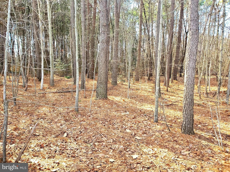 0 Gravel Branch Rd unit MDDO2001942, Hurlock, MD 21643 - photo 1