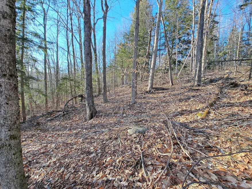 Lot 9 Judges Rd, Thornton, NH 03223 - photo 1