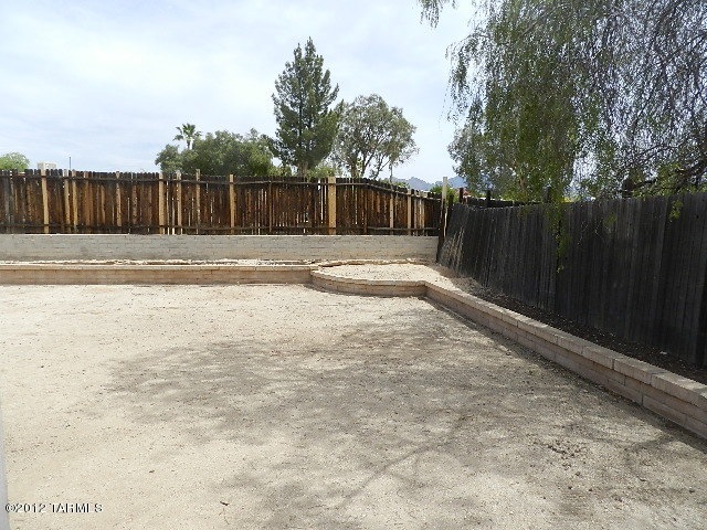 Back yard