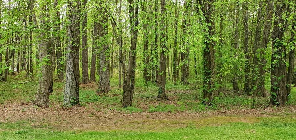 0 Falcon Dr, Dalton, GA 30721 - photo 1