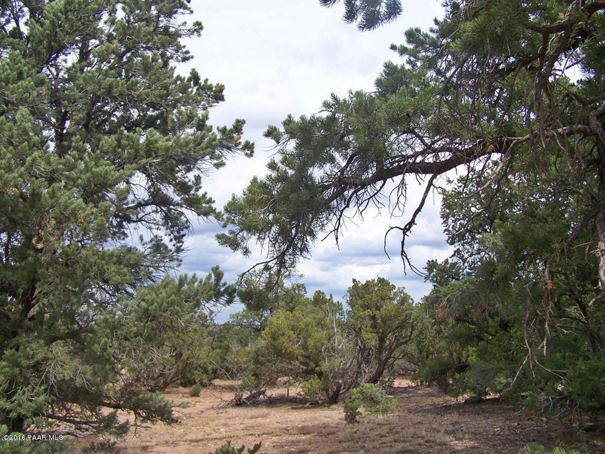 land