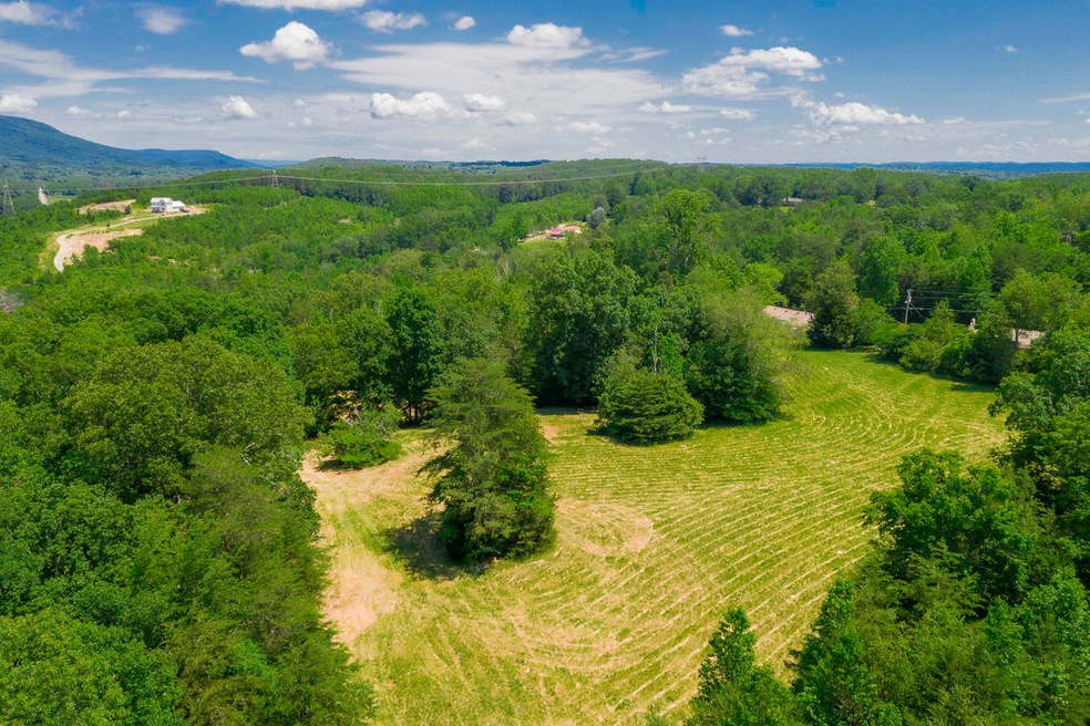 DJI_0991