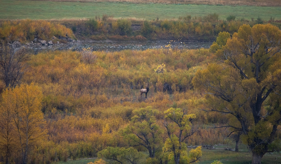 0 Tbd County Road 77, Craig, CO 81625 - photo 1
