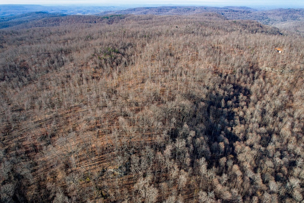 0 Board Valley Rd unit RTC2366324, Cookeville, TN 38501 - photo 1