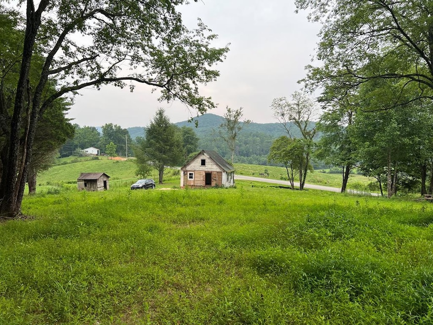 Main View
