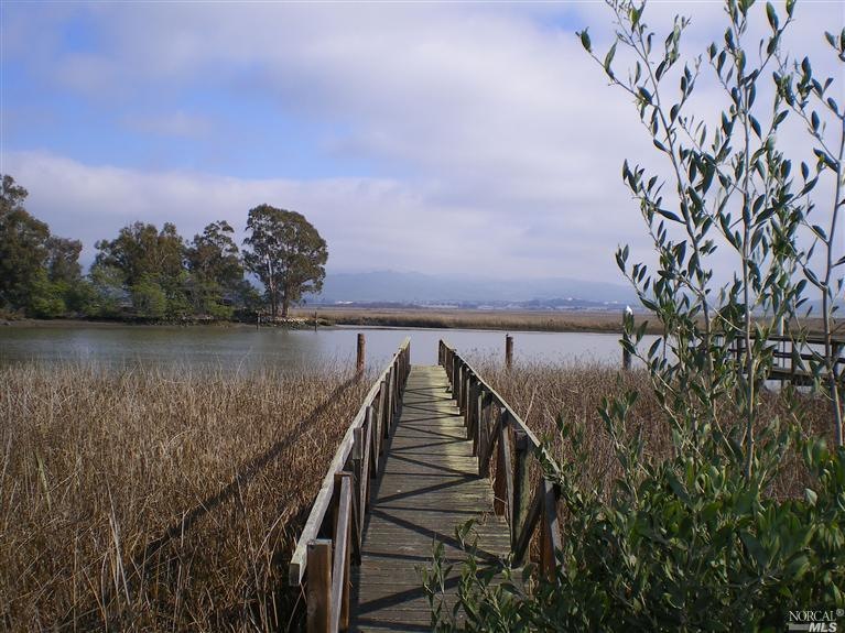 Gorgeous views and private pier on the Napa River