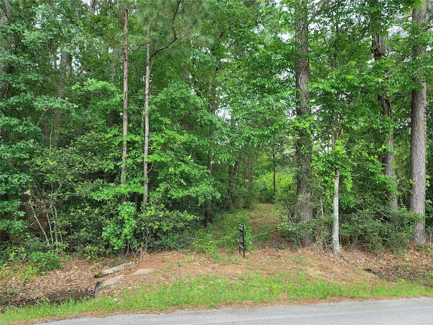 TBD Roberts Cemetery Rd, Hockley, TX 77447 - photo 1