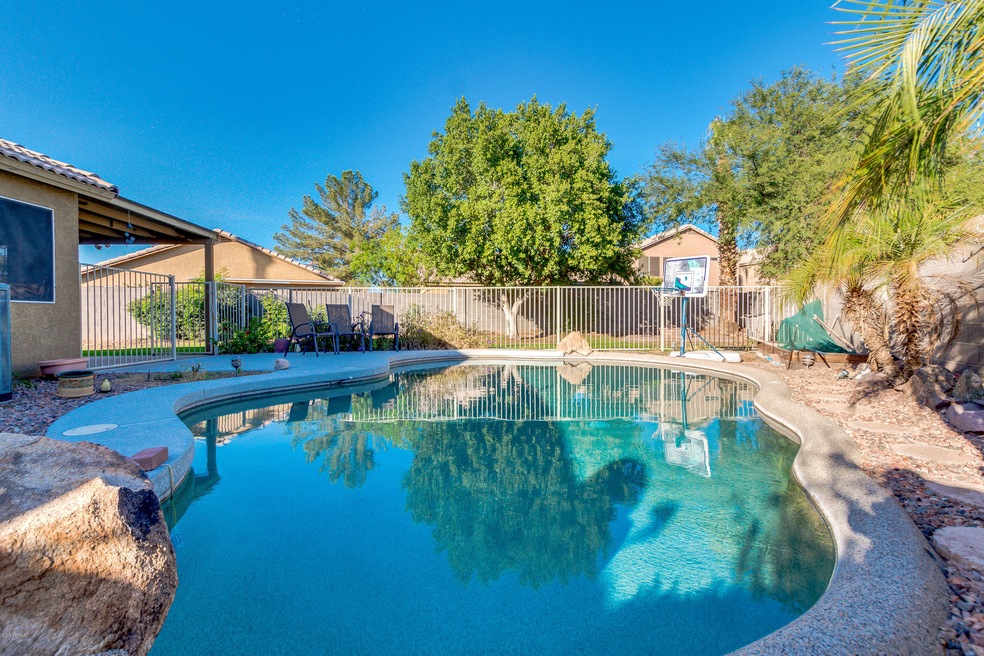 SHASTA POOL