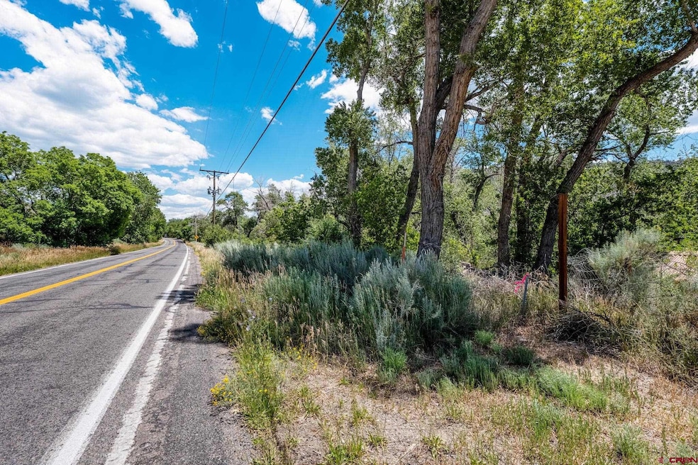 1110 Animas View Dr, Durango, CO 81301 - photo 1