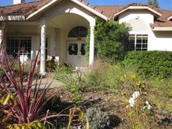 Drought Resistant Plantings on Automatic Remote Co