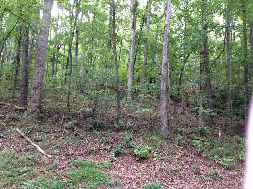 0 Habersham Mills Rd unit 9043660, Demorest, GA 30535 - photo 1