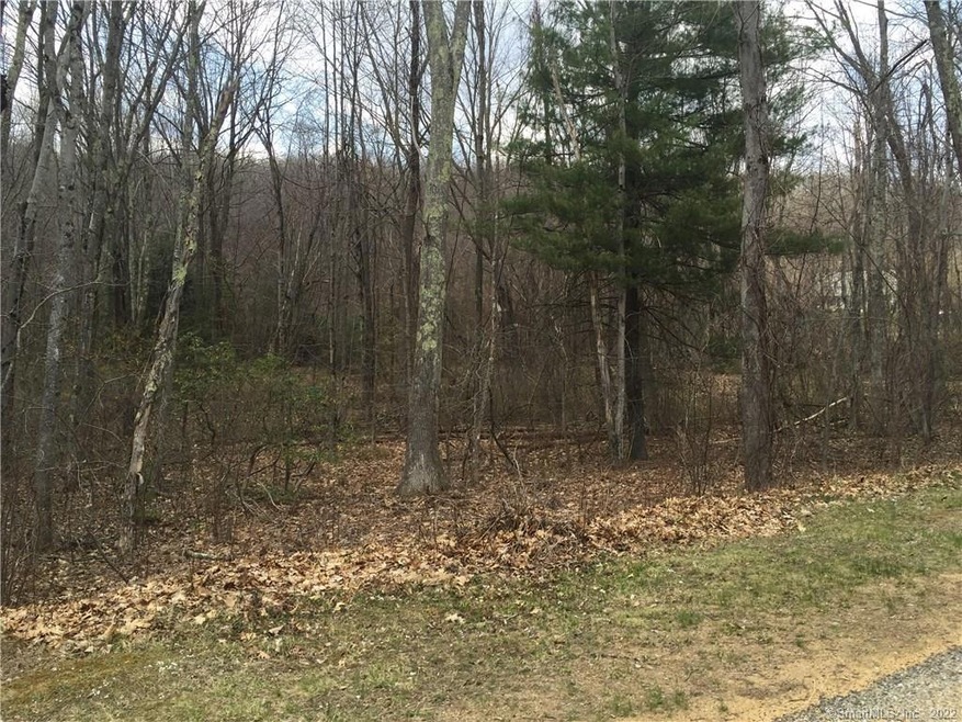 0 Stickney Hill Rd unit 170142004, Union, CT 06076 - photo 1