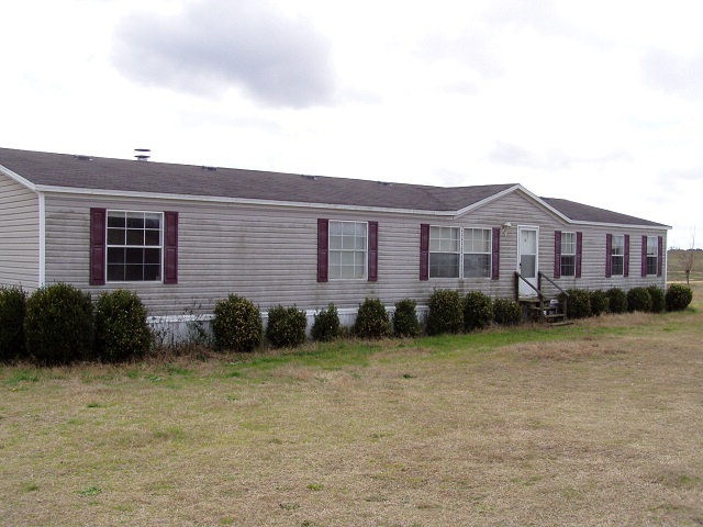 Main View