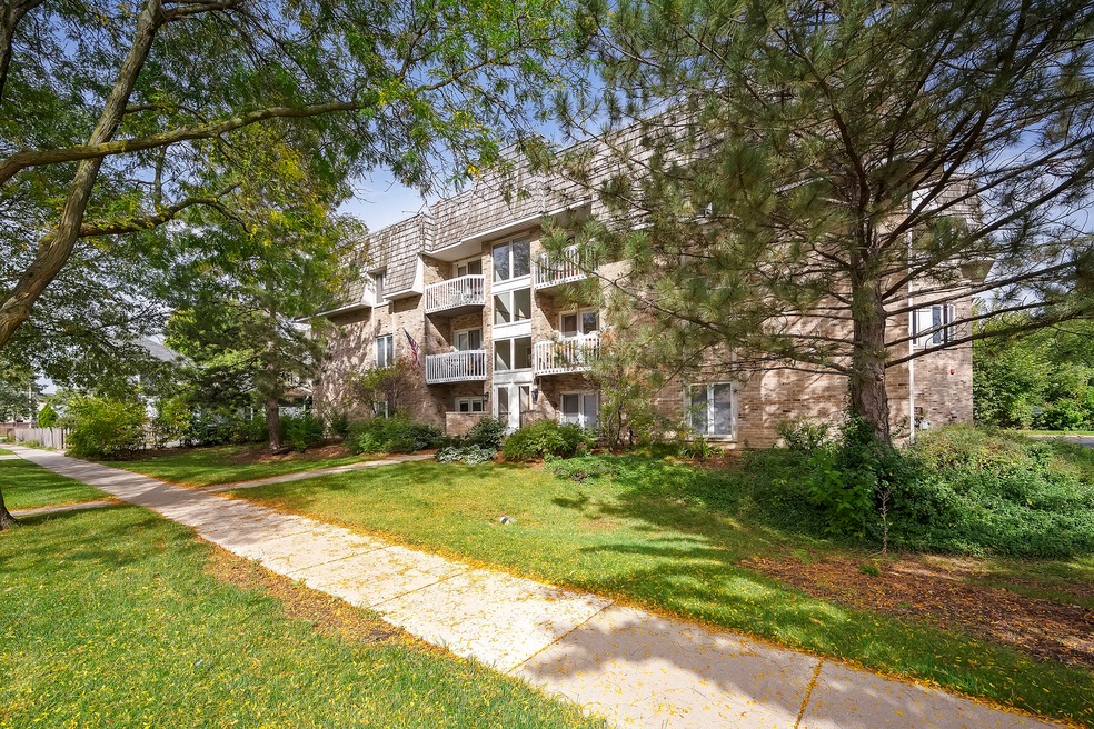 930 Rogers St Unit 302, Downers Grove, IL 60515 MLS MRD11913235