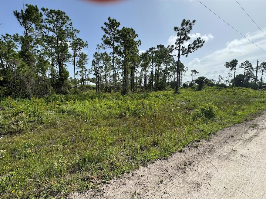 29528 Clara Dr, Punta Gorda, FL 33982 - photo 1