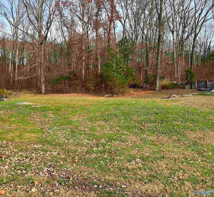 105 Amber Way, Priceville, AL 35603 - photo 1