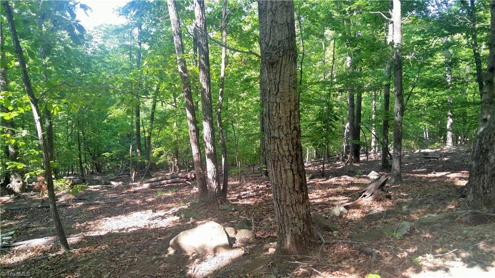 Wooded lot