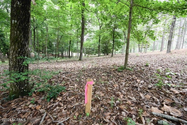 18 McMichael Drive