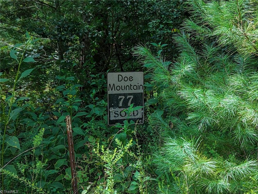 000 Antler Dr, McGrady, NC 28649 - photo 1