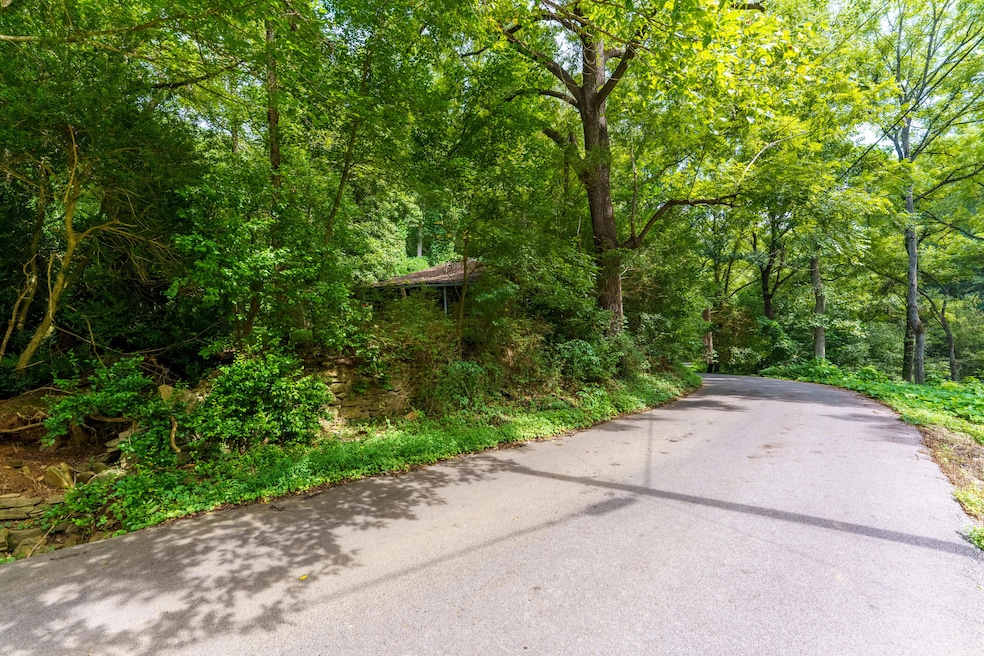 206 Caney Creek Rd, Pigeon Forge, TN 37863 - photo 1